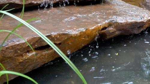 Doncaster Close up Natural water feature180